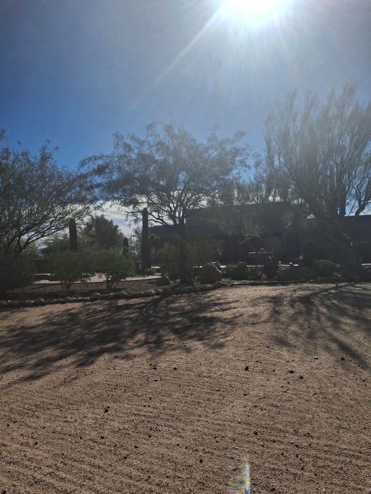 All Photos for Family Landscaping in Phoenix, AZ