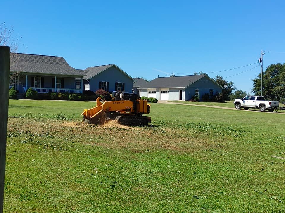 Tree Removal for Big Rock Tree Removal LLC in Boaz, AL