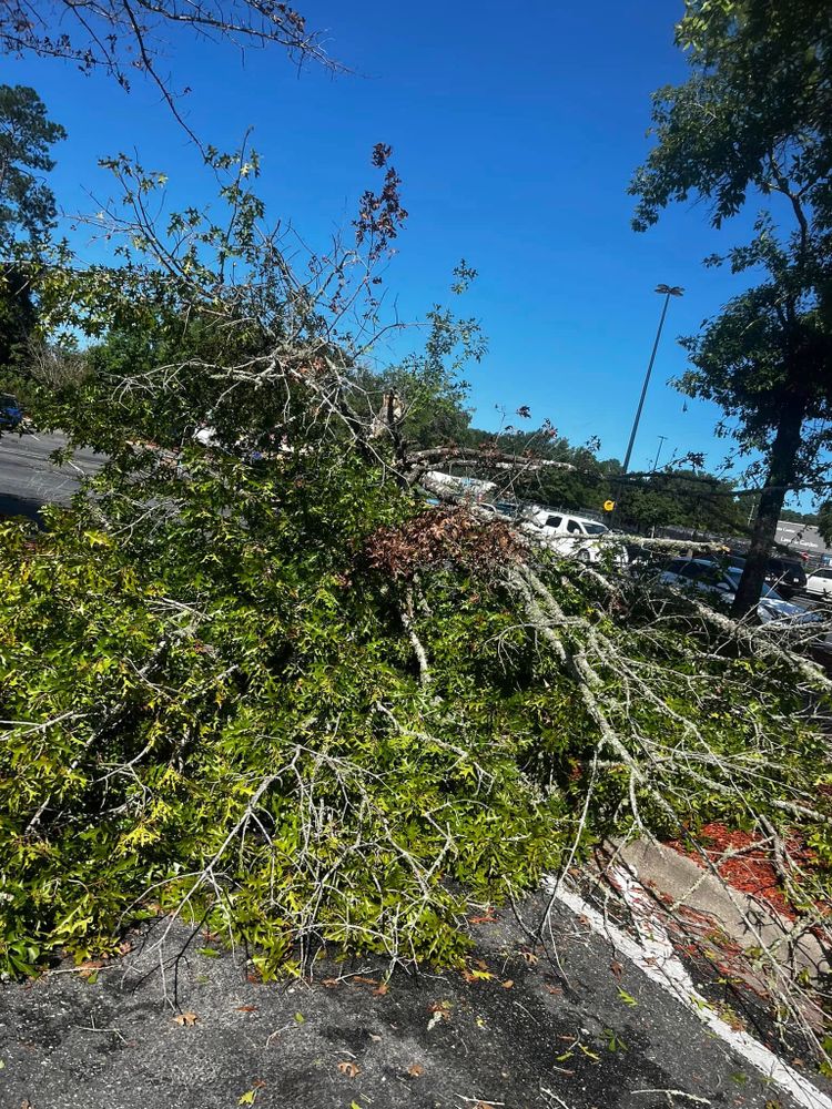 All Photos for Enhanced Landscape in Daphne, AL