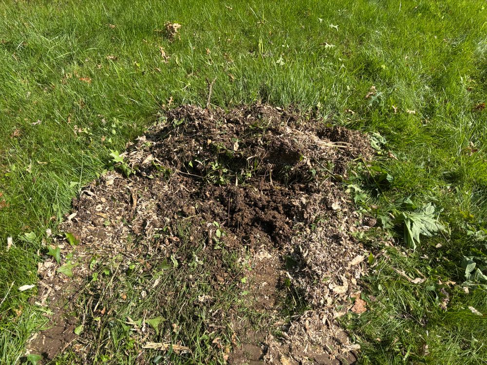 All Photos for Conrad's Stump Removal in Columbus, IN