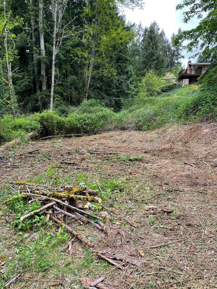 Tree Removal for Wilderness Stump Grinding in Orting, WA