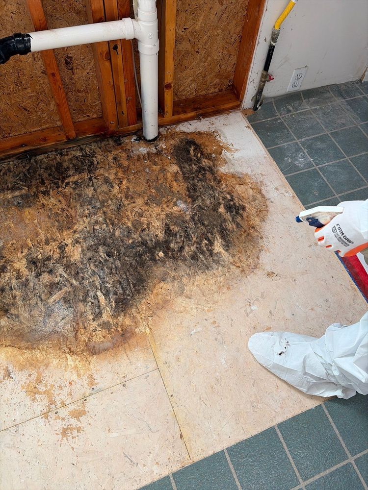 All Photos for ACM Environmental in Salt Lake City, UT