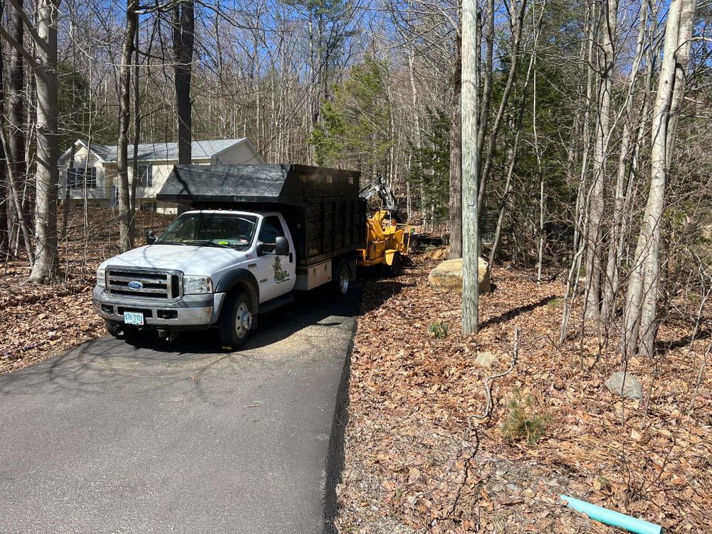 All Photos for Abair Tree Service in Weare, NH