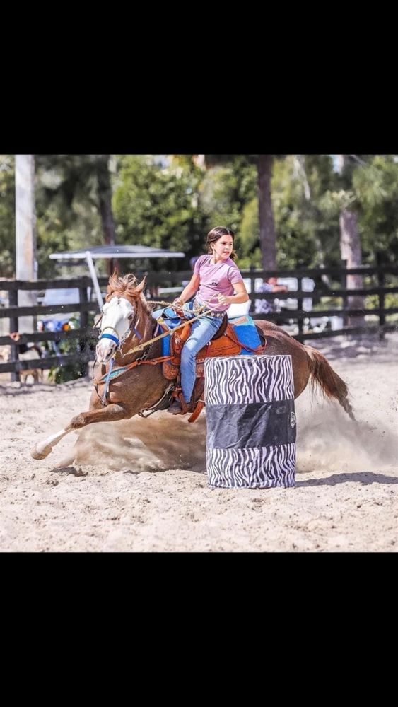 All Photos for Florida Native Equestrian Services in Central Florida, FL