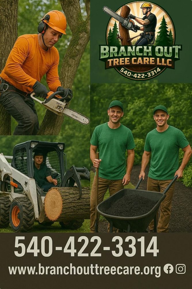 All Photos for Branch Out Tree Care LLC in Fredericksburg, VA
