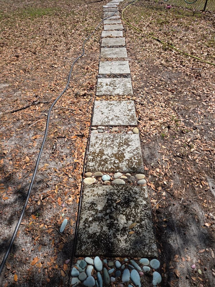 All Photos for Above the Lawn Cuts and Pressure Washing in Sebring, FL