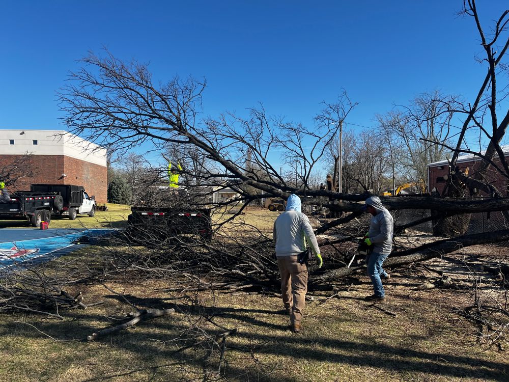 All Photos for Urban Lawn & Landscape in Oklahoma City, OK