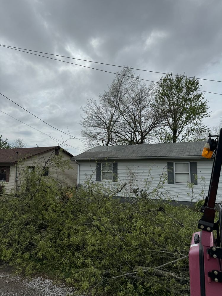 All Photos for Curtis Tree Service LLC in Hopkins County, KY