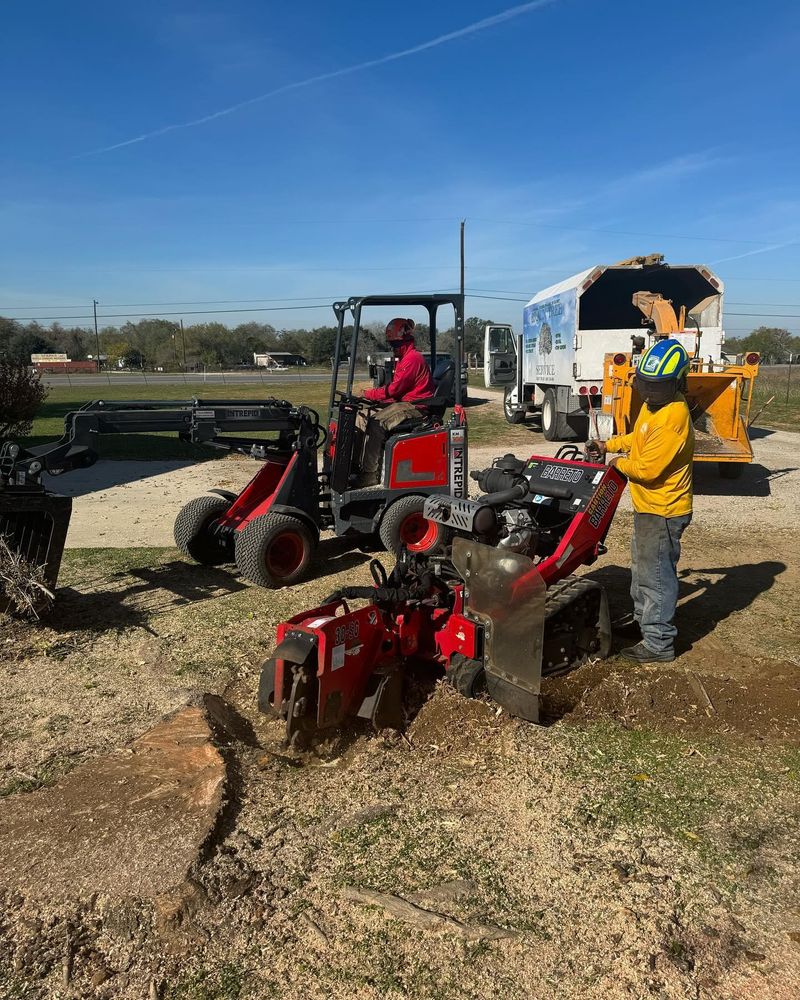 Braun Tree Service  team in Floresville, Texas - people or person