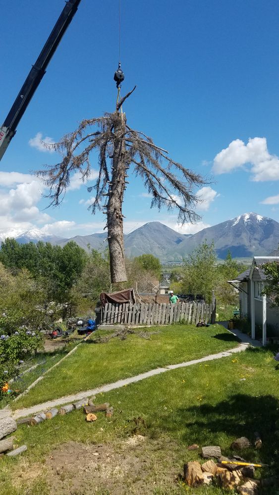 All Photos for Platinum Lawn Service in Santaquin, UT