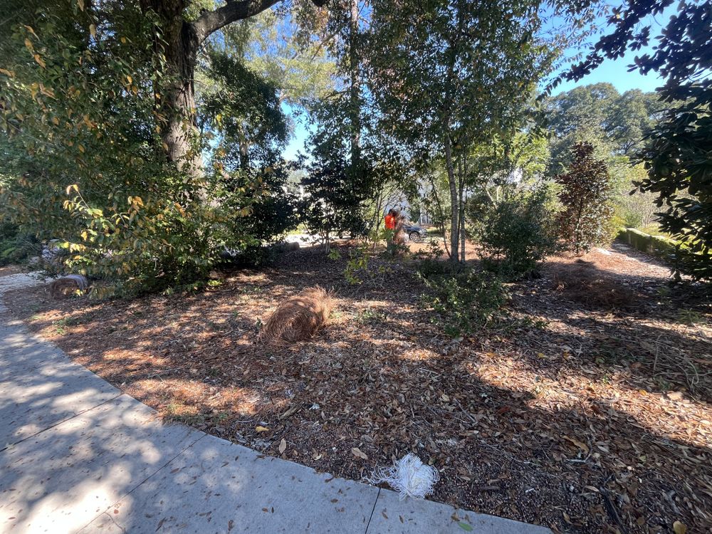 All Photos for All-Star Lawn Care & Soft Washing in Mobile, AL