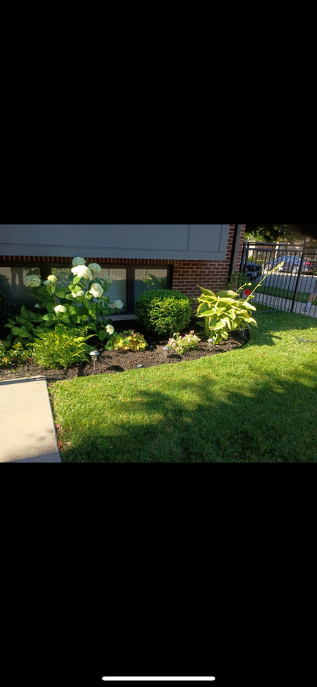 All Photos for Superior Lawn Care & Snow Removal LLC  in Chicago, IL