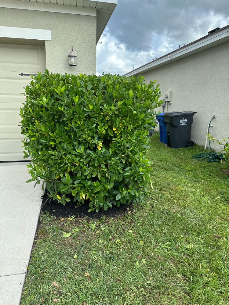All Photos for The Yardman in Tampa, FL