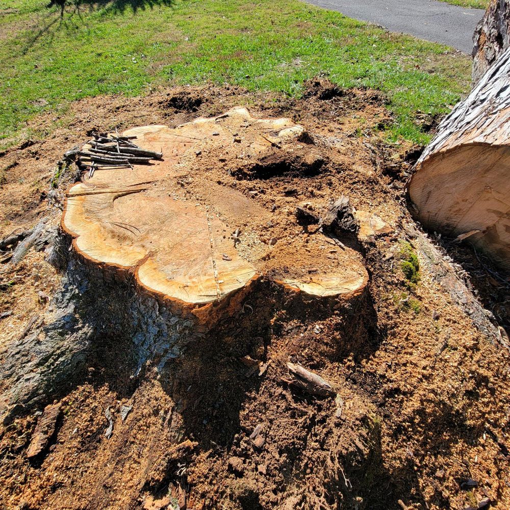 All Photos for Z's Land Management & Forestry Mulching in Smithville, TN