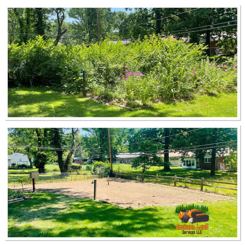 All Photos for Jackson Lawn Services LLC in St Louis, MO