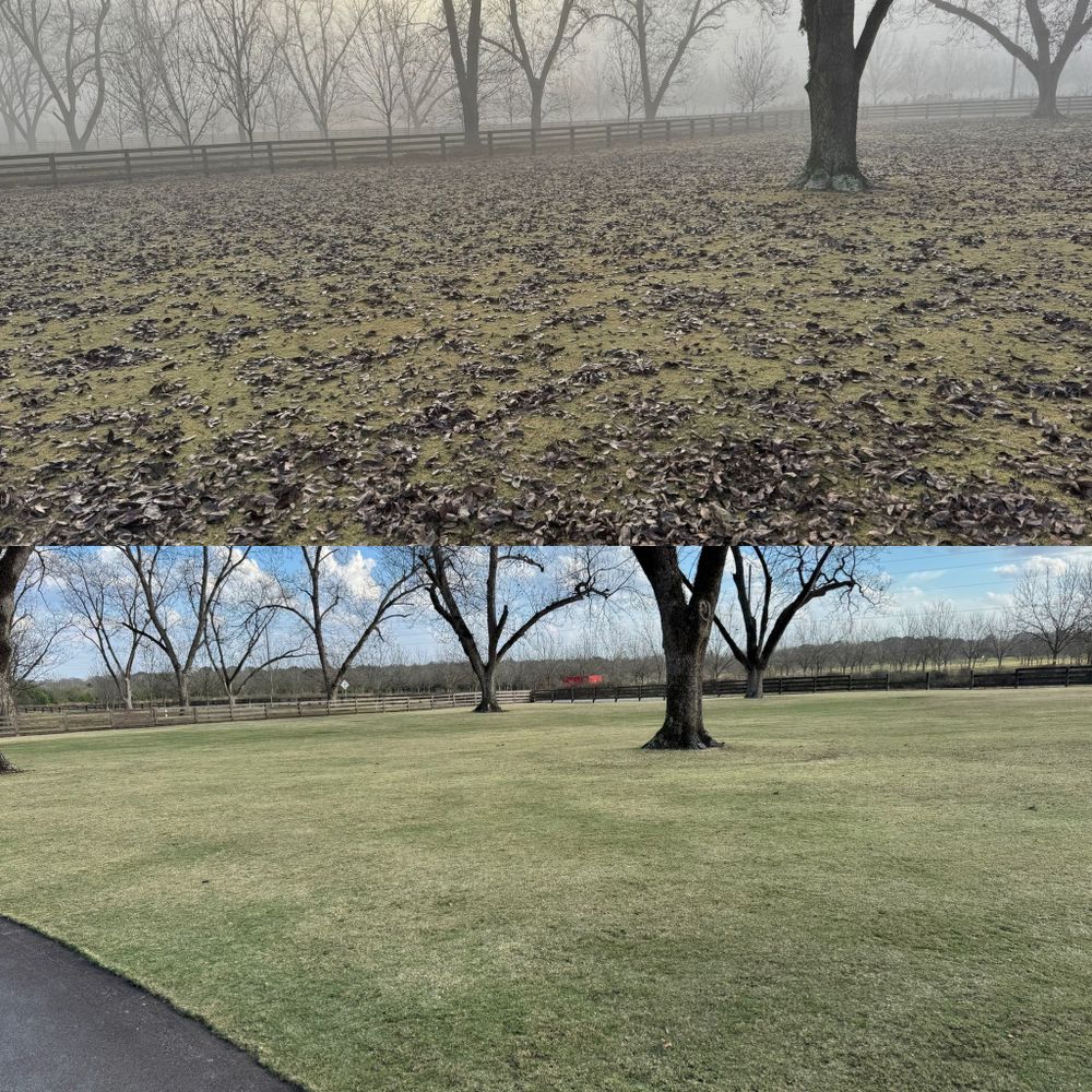 All Photos for Camalett Services in Perry, GA