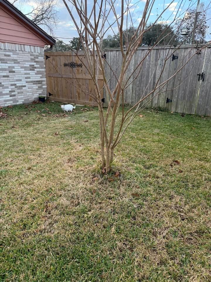 All Photos for Texas Curb N Borders in Houston, TX