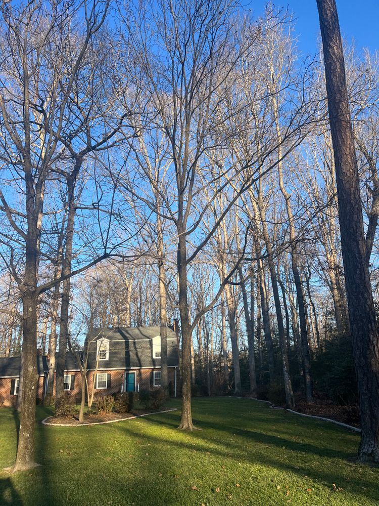 All Photos for Atlas Home Services in Mechanicsville, VA