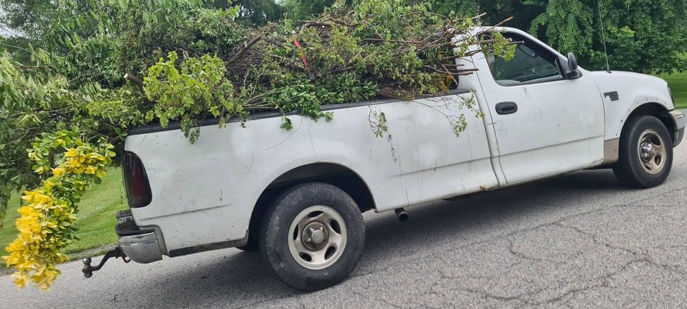 All Photos for Moma Services: Junk Removal, Trash Removal, Hauling, & Donation in Baltimore, MD