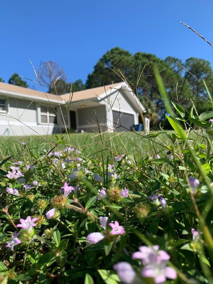 All Photos for Space Coast Property Maintenance and Management LLC in Melbourne, FL