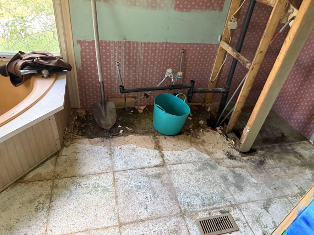 All Photos for Momos Construction in Piney Flats, TN