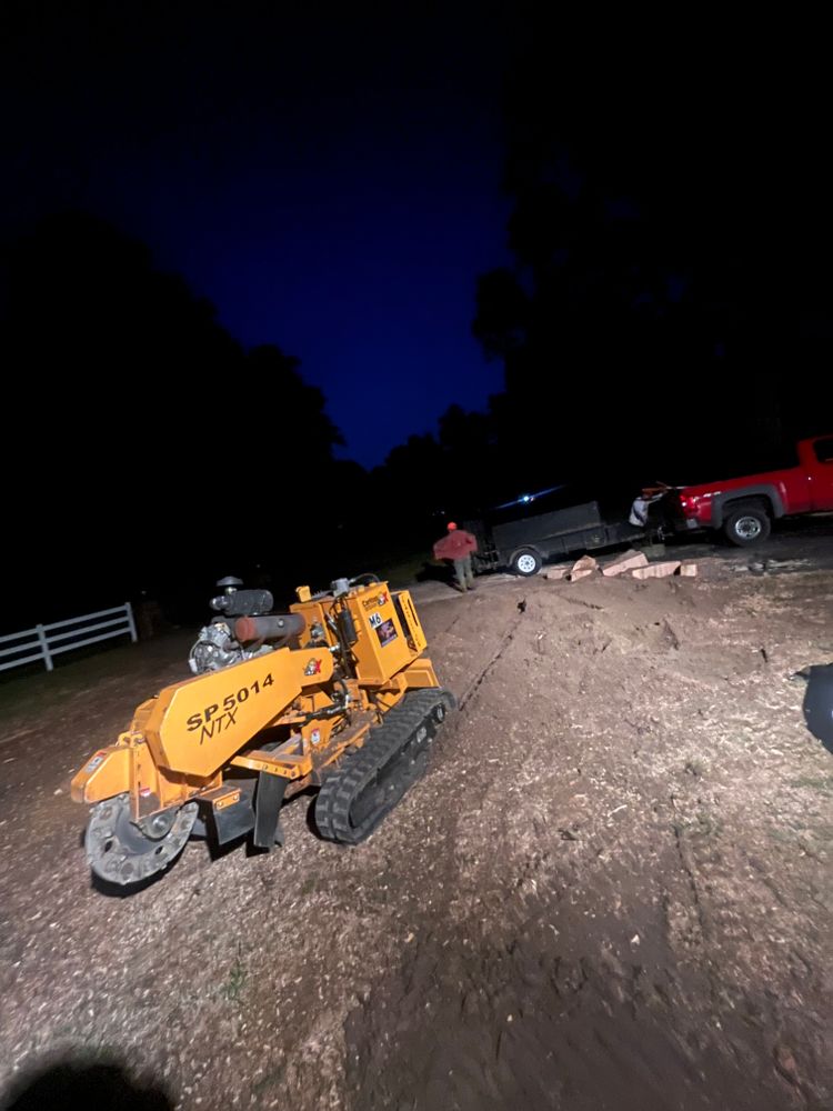 All Photos for Ricky's Tree Service & Property Care in Orange, VA