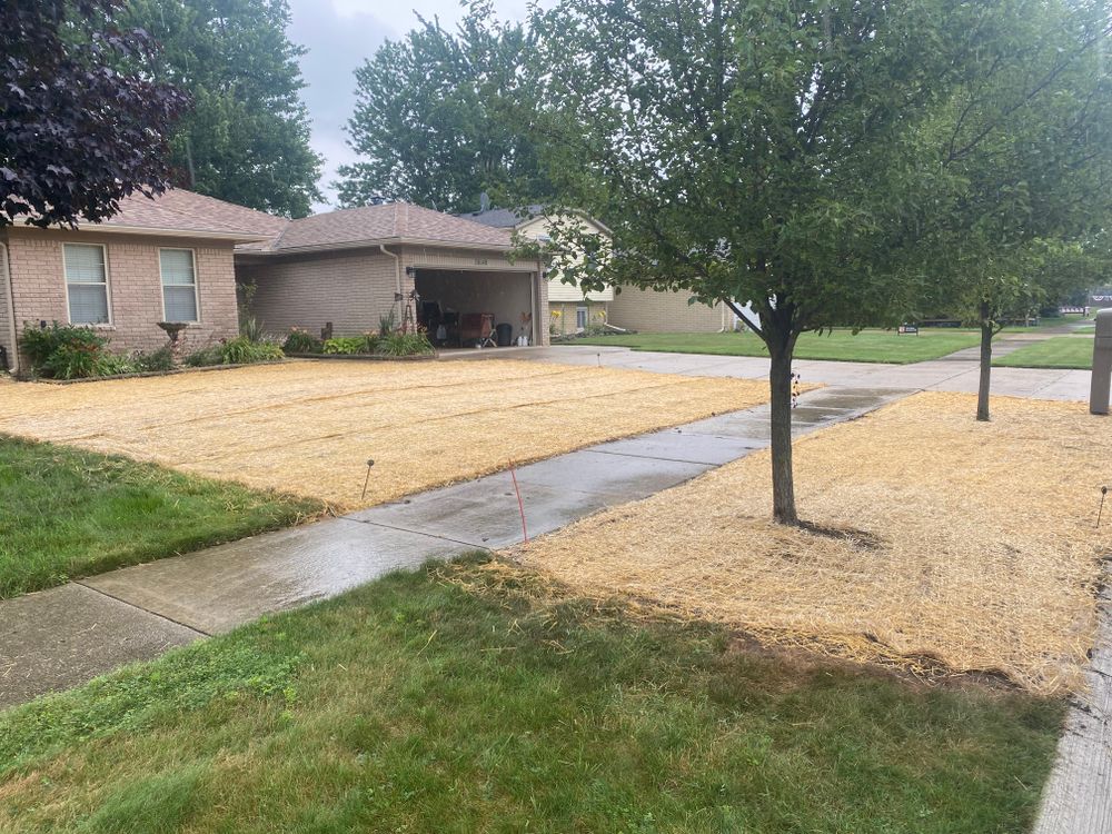 Our lawn seeding service revitalizes your outdoor space, enhancing grass growth for a lush, beautiful lawn. Trust us to create a vibrant and healthy foundation for your landscape. for Alltimate Outdoor Services in Warren, MI