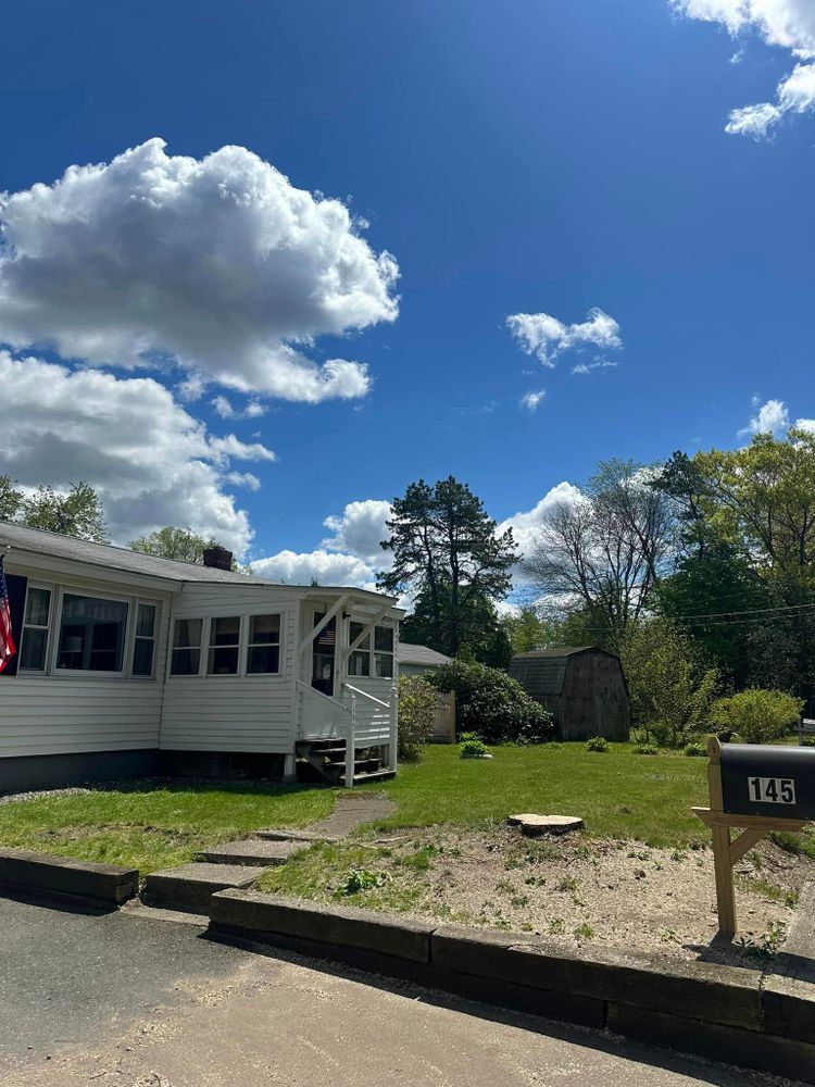 Tree Removal for Leaf and Limb in Townsend, MA