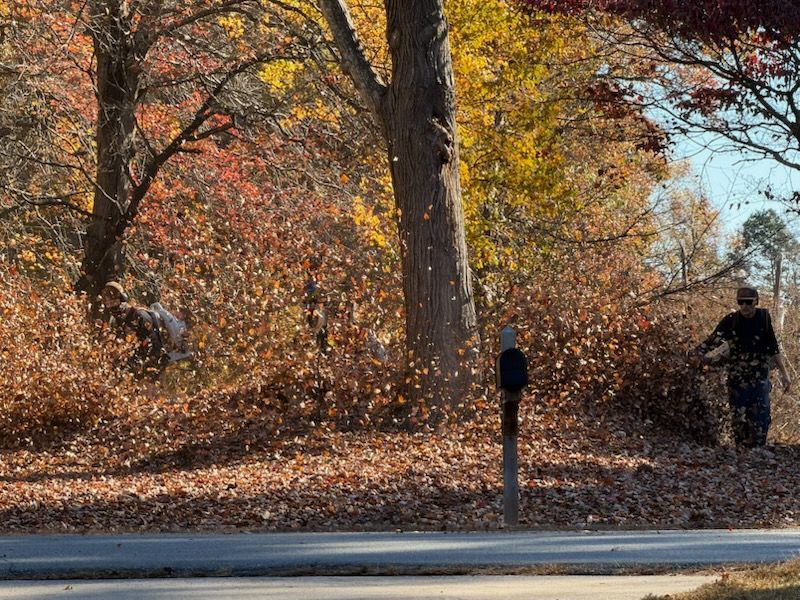 All Photos for Reiser Lawn Service in Denver, North Carolina