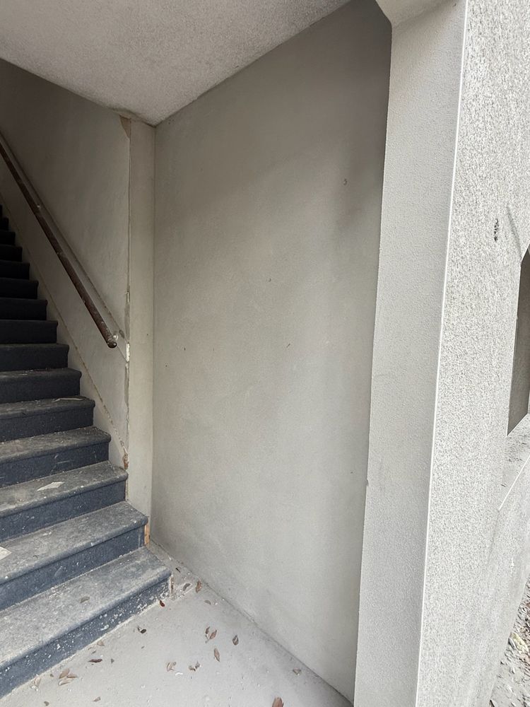 All Photos for Escorpio Painting in Tampa, FL