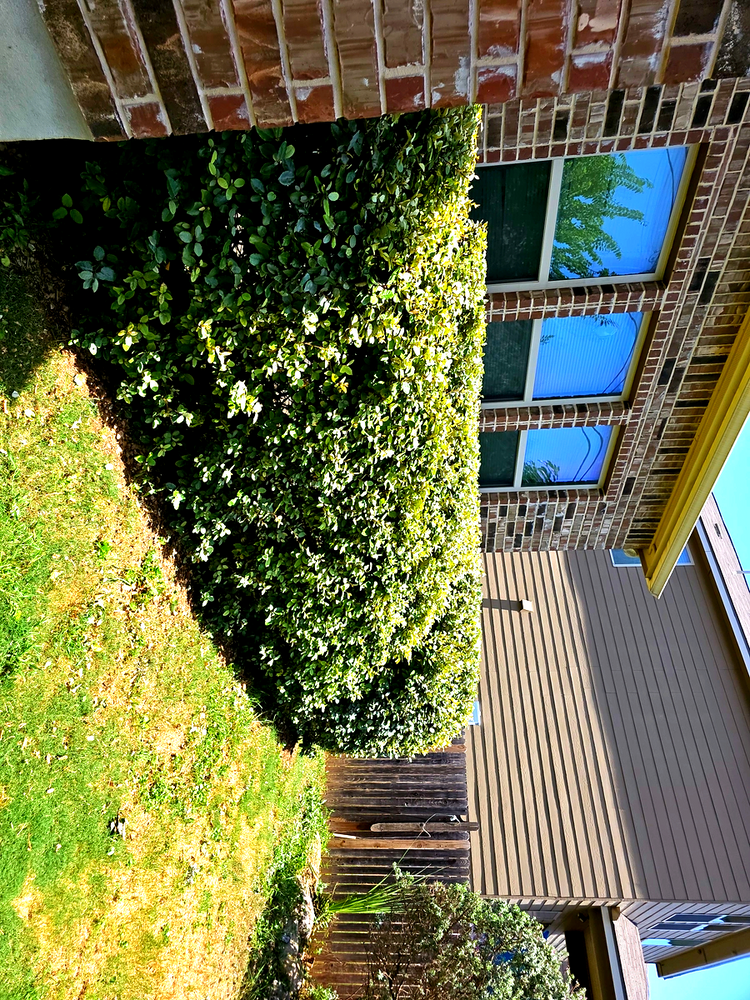 All Photos for Miller Mowing and Maintenance in San Antonio, TX
