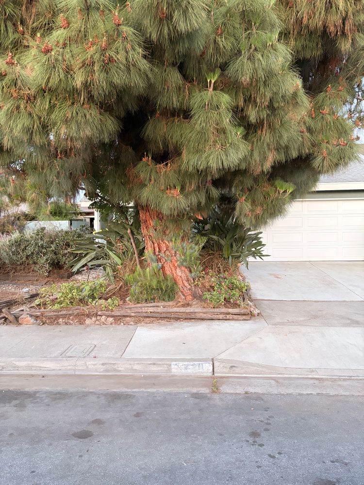 All Photos for JJs Relocation Services in Orange County, CA