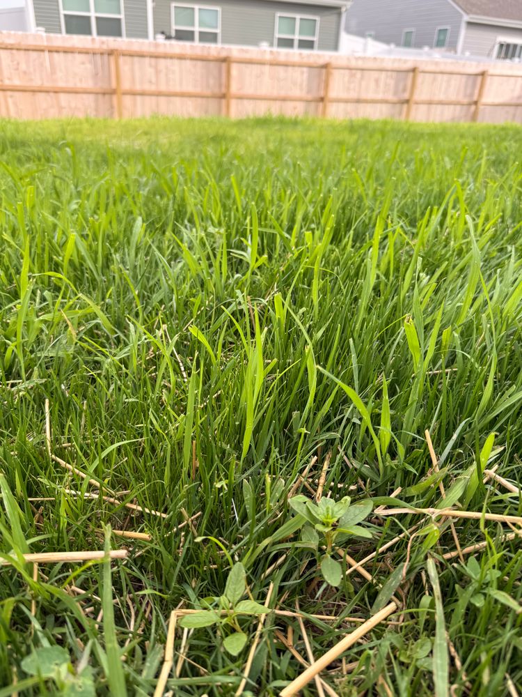 Lawn Seeding & Over-seeding for Sneed & Co LLC in Kokomo, IN
