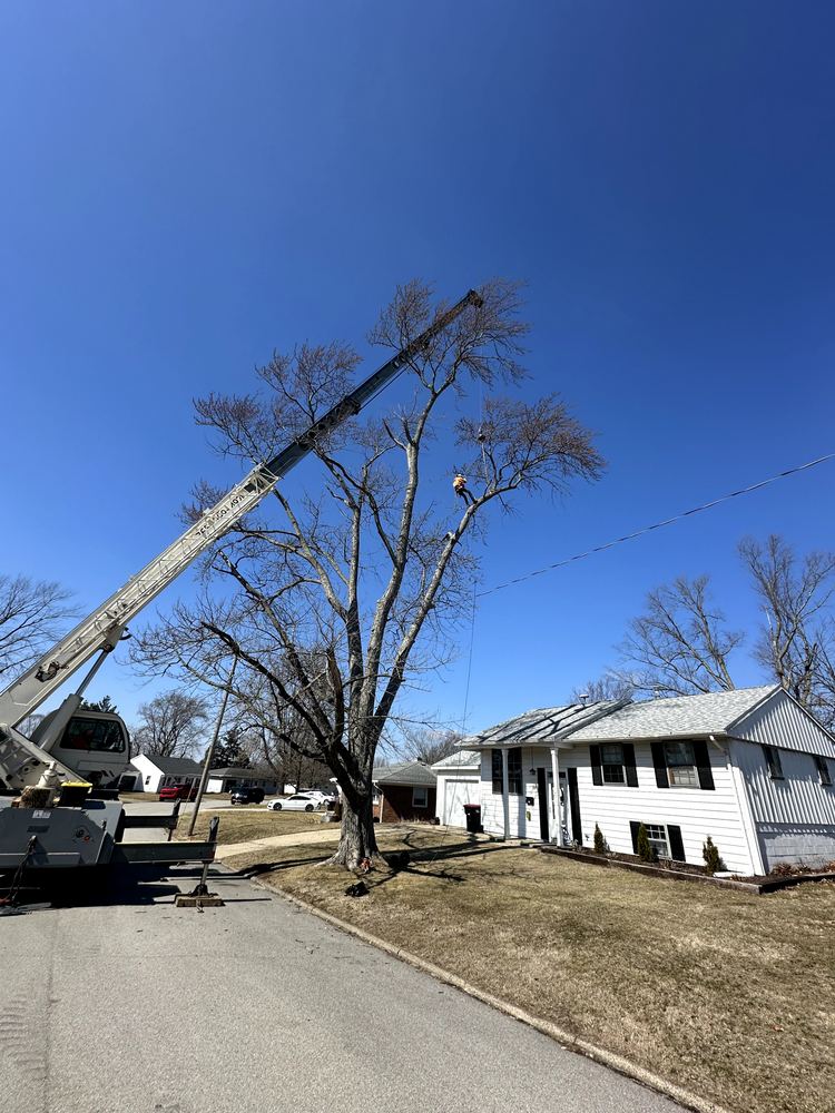 All Photos for Advanced Tree Solutions in Rockville, IN