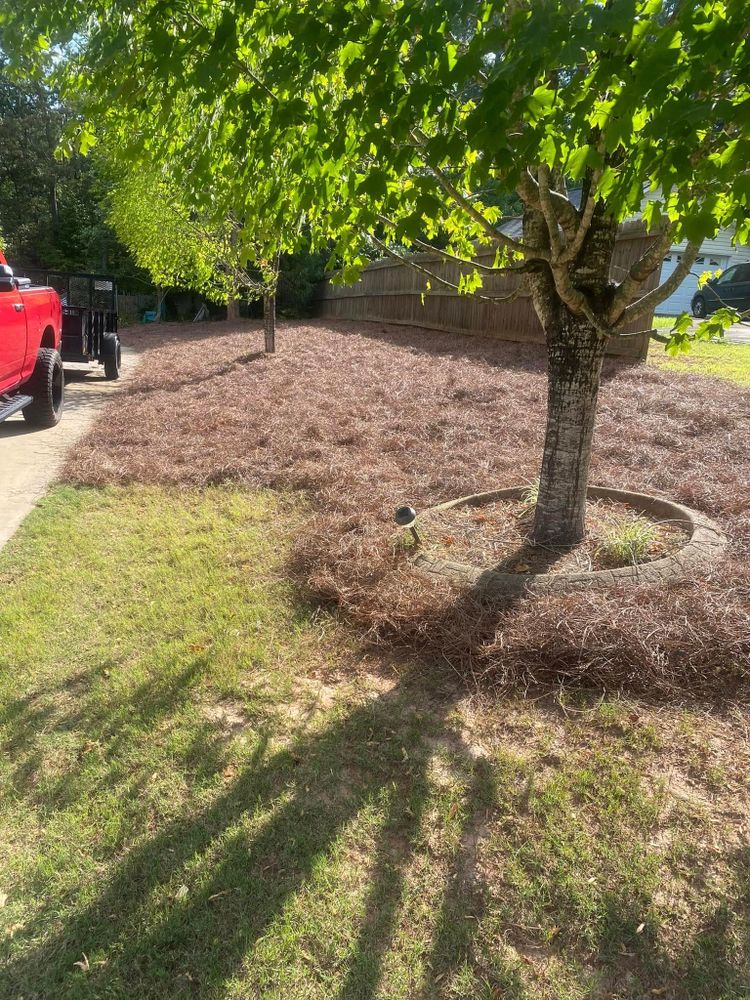 All Photos for Taylormade Lawn Management in Clarkesville, GA