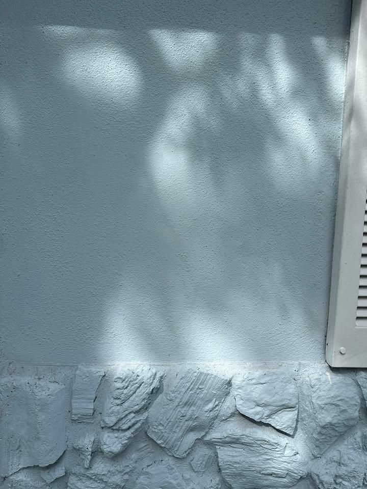 All Photos for Escorpio Painting in Tampa, FL