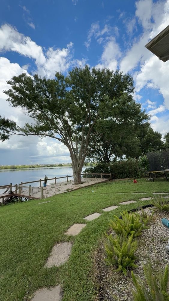 All Photos for New Era Lawn Care & Landscaping in Lakeland,  FL