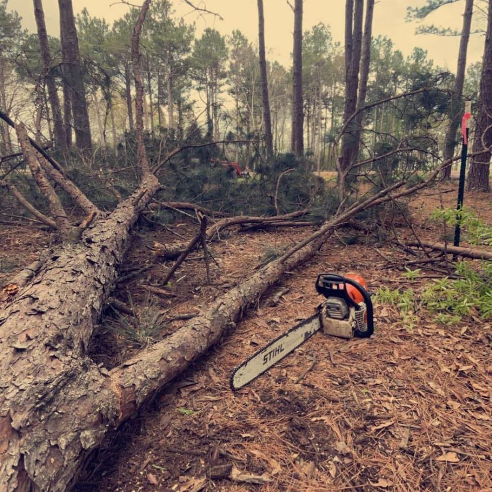 Our Tree Removal service safely and efficiently removes unwanted or hazardous trees, ensuring the health of your landscape while minimizing disruption and enhancing the safety and aesthetics of your property. for H3 Land Management in Centerville, TX