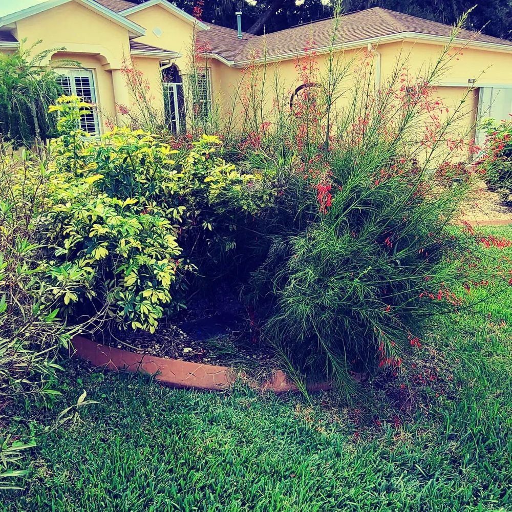 All Photos for TopNotch Landscaping Services  in The Villages, FL