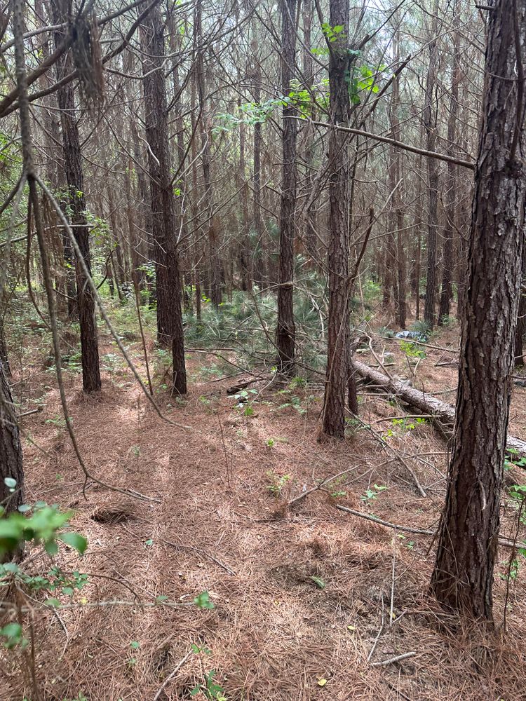 All Photos for A.P Land Management in Atlanta, Ga