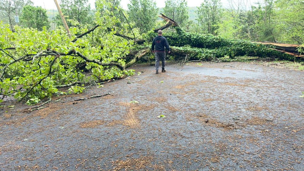 All Photos for Chipper's Tree Service  in Fort Payne, AL