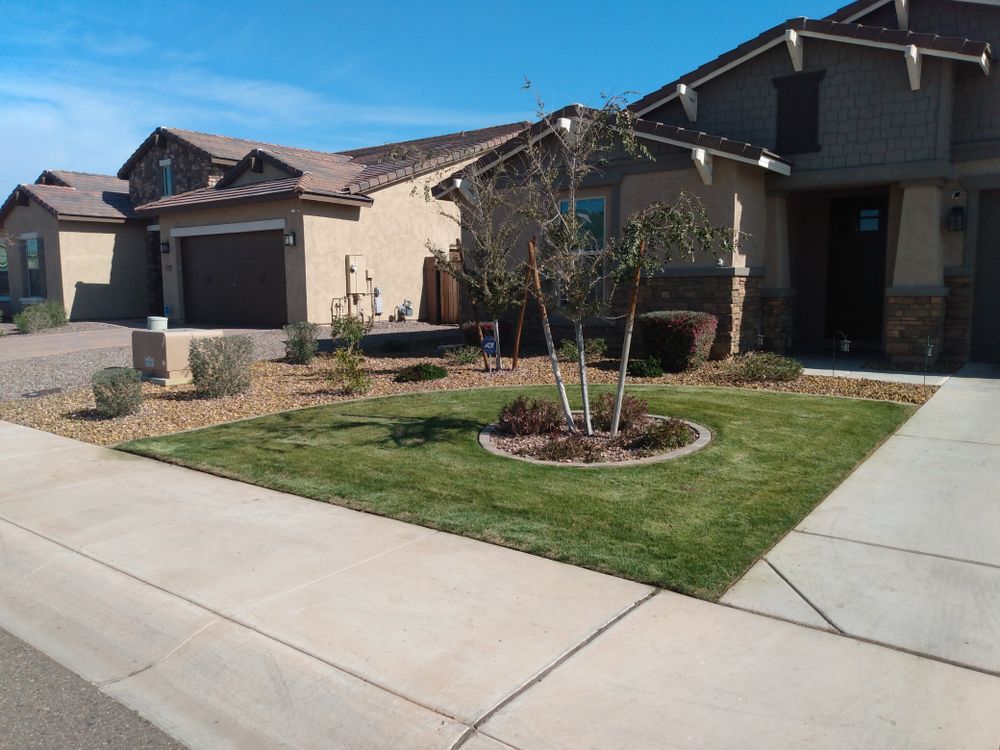 Shrub triming for Sharp Image LLC Landscaping & Hardscape in Phoenix, AZ