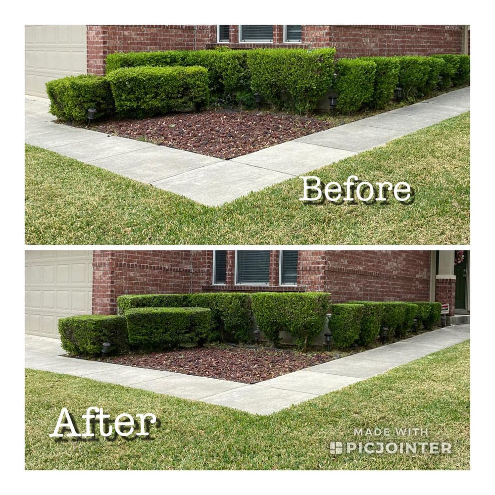 Landscaping for CS LawnCare  in San Antonio,  TX