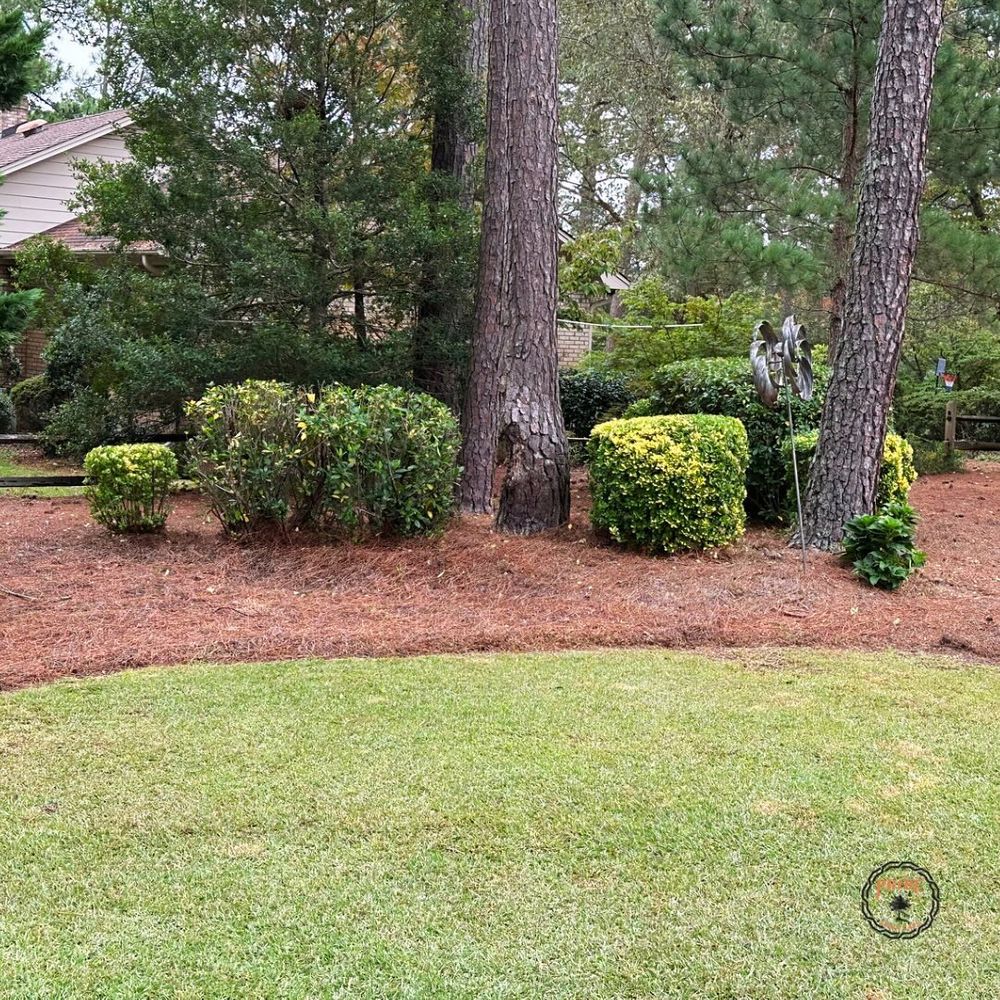 Lawn Care for Pride Lawn Care in Hope Mills, NC