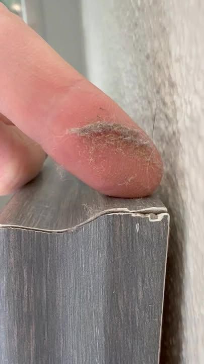 All Photos for A Beautiful Day Cleaning in Rogers, AR