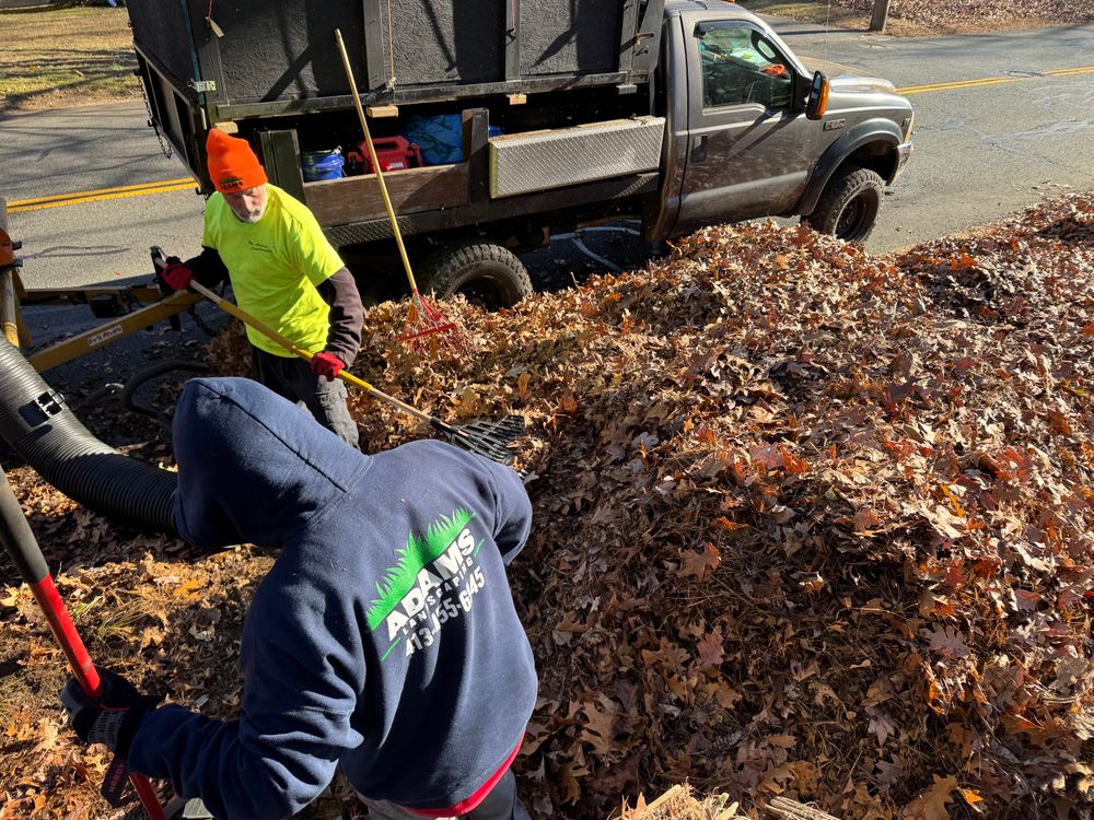 All Photos for Adams Landscaping in Springfield, MA
