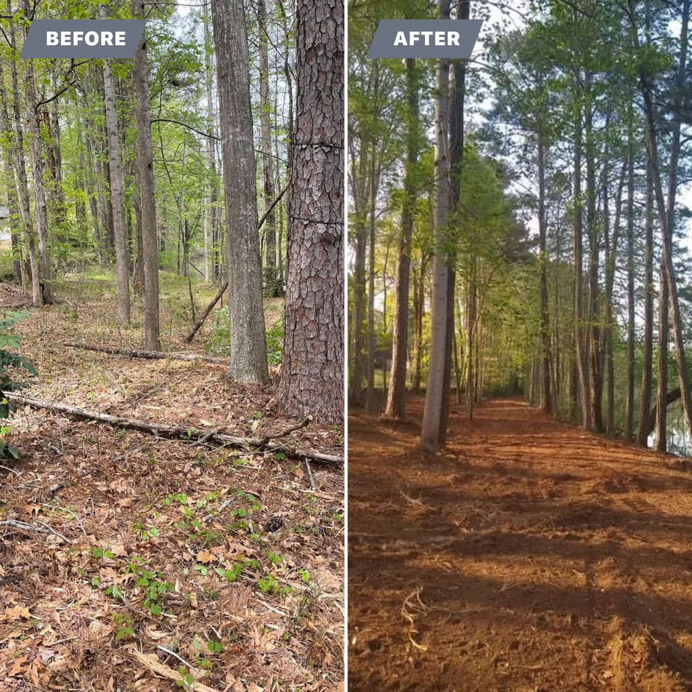 Land Clearing for G&H Forestry Mulching and Land Services in Fayetteville, GA