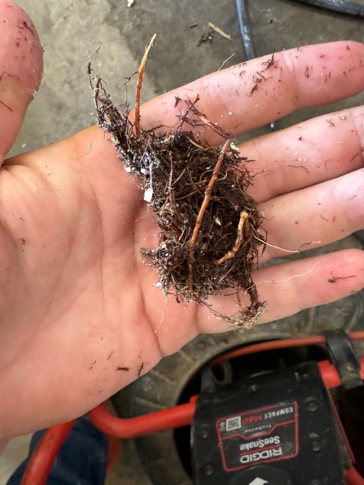 All Photos for Hendershot Construction in Maricopa, AZ