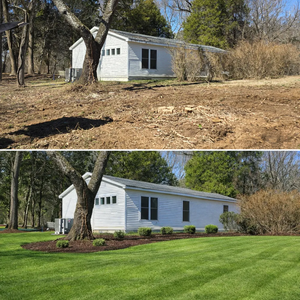 All Photos for Optimum Tree Service And Landscaping in Bowling Green, KY