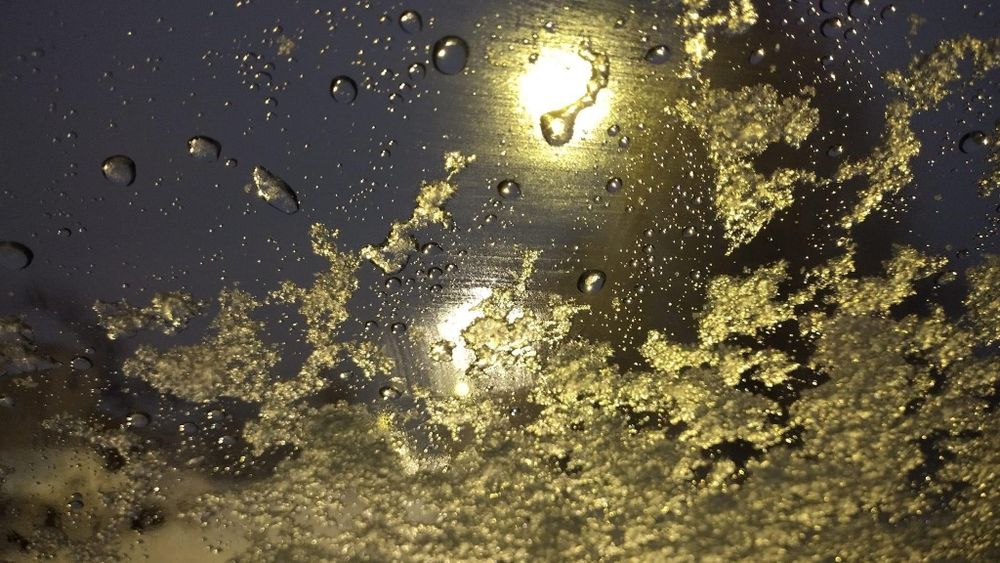 All Photos for Bearforce Lawn Care LLC in Greenfield, IN